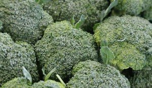 broccoli stalks benefits