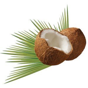 coconut oil and nutrition