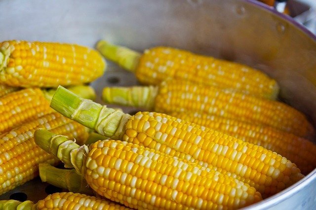 corn cob nutrition