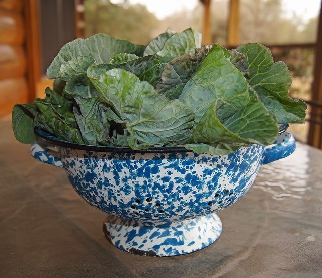 collard greens bowl