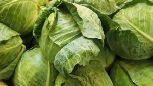 cabbage benefits