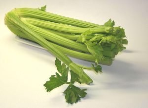 celery bunch used for juicing