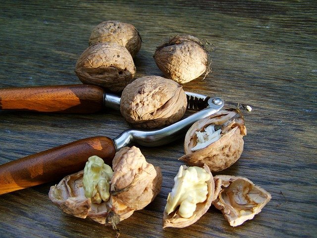 Walnuts cracked open and eaten