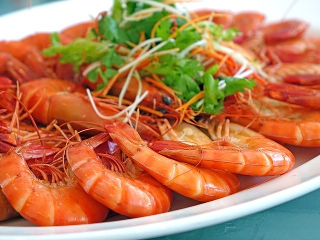 shrimp benefits