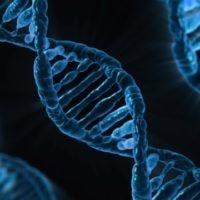 dna crispr