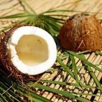 fractionated coconut oil